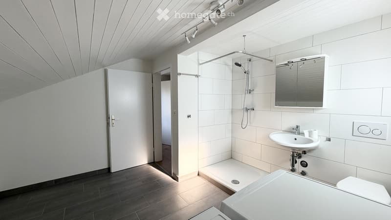 Helle, frisch renovierte 3.5 Zimmer Wohnung (7)