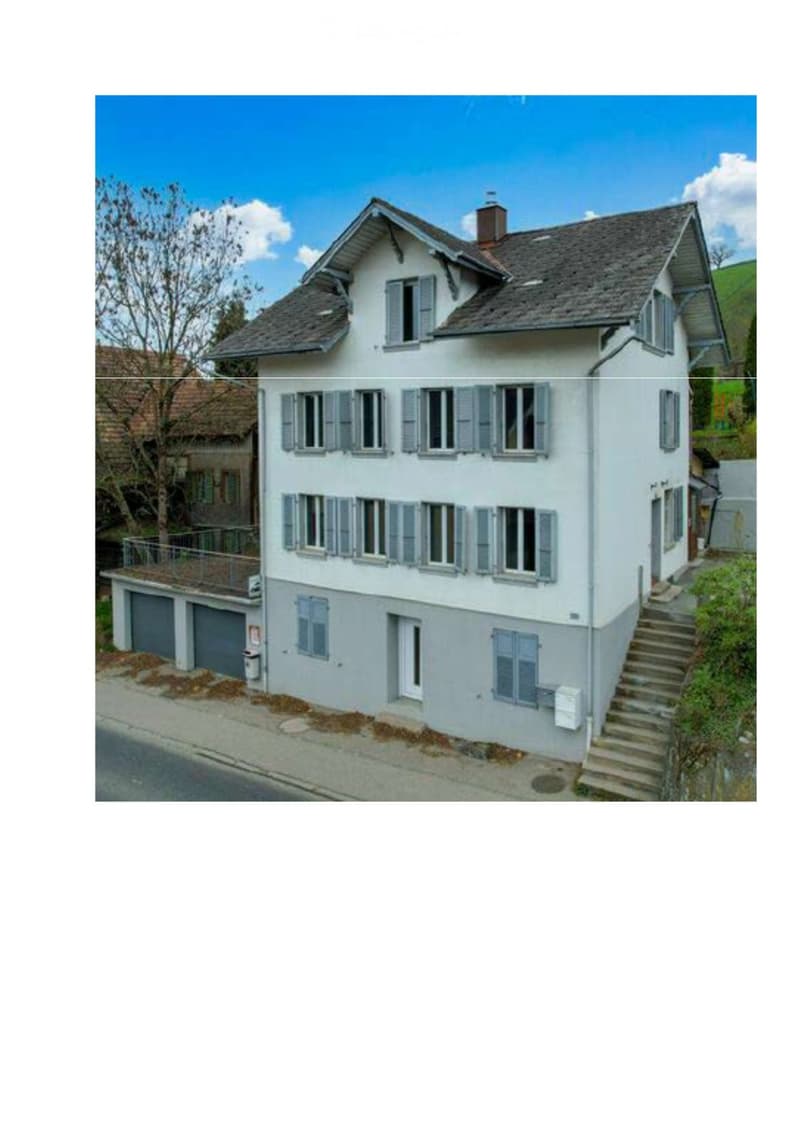 Helle, frisch renovierte 3.5 Zimmer Wohnung (11)