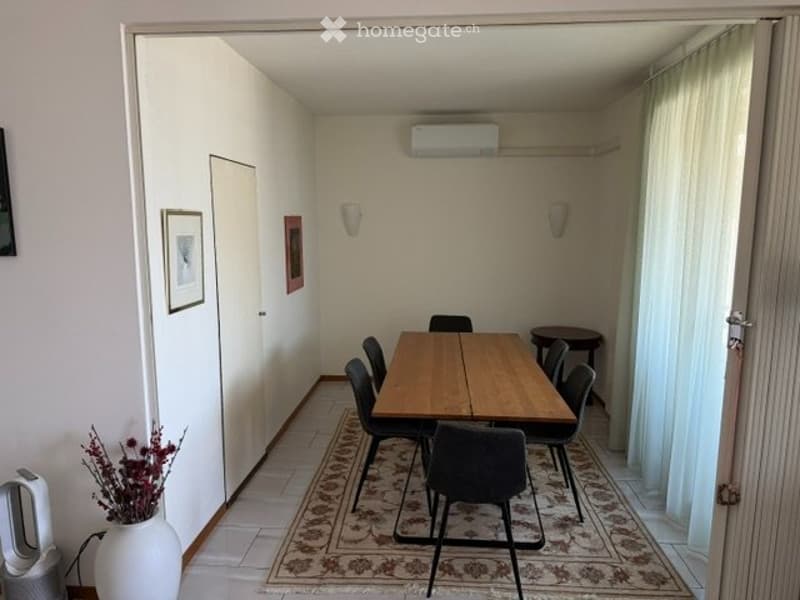 Appartamento Vista Lago a Paradiso (3)