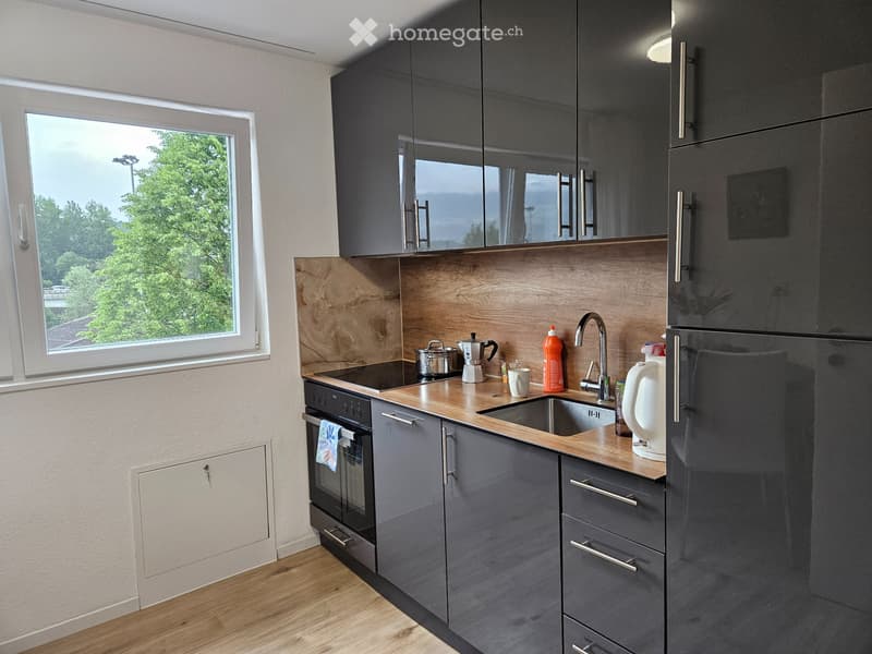 Neuwertige 3.5 Zimmer Wohnung (4)