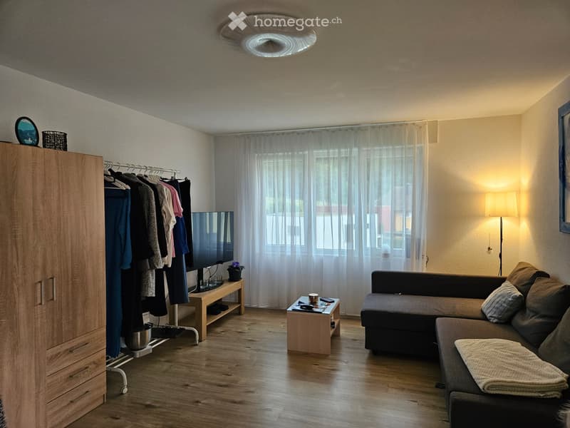 Neuwertige 3.5 Zimmer Wohnung (2)