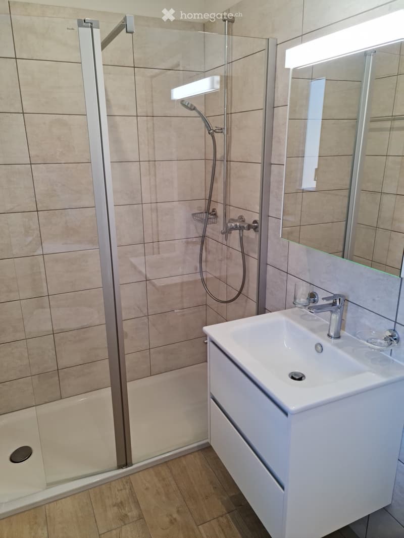 Appartamento 3.5 locali a Manno (4)