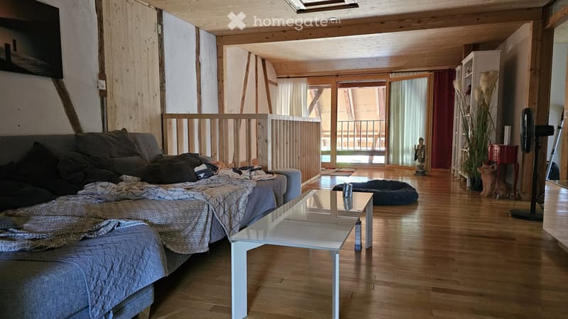 Bauernhaushälfte Maisonette m. Galerie u. Loft (1)