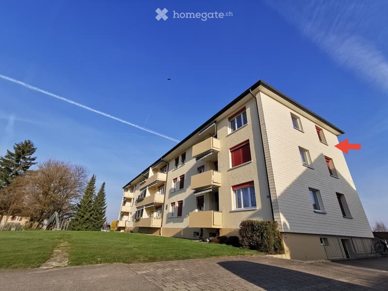 Helle 3.5 Zimmer Wohnung im 3 OG mit Balkon (1)