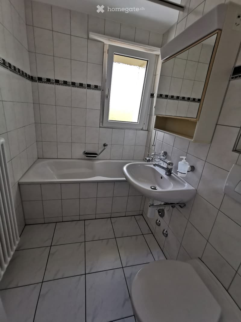 Helle 3.5 Zimmer Wohnung im 3 OG mit Balkon (3)