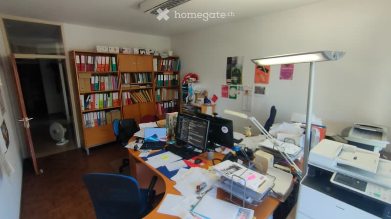 Cerco subentrante  Ampio 3.5 locali a Lugano-Besso (2)
