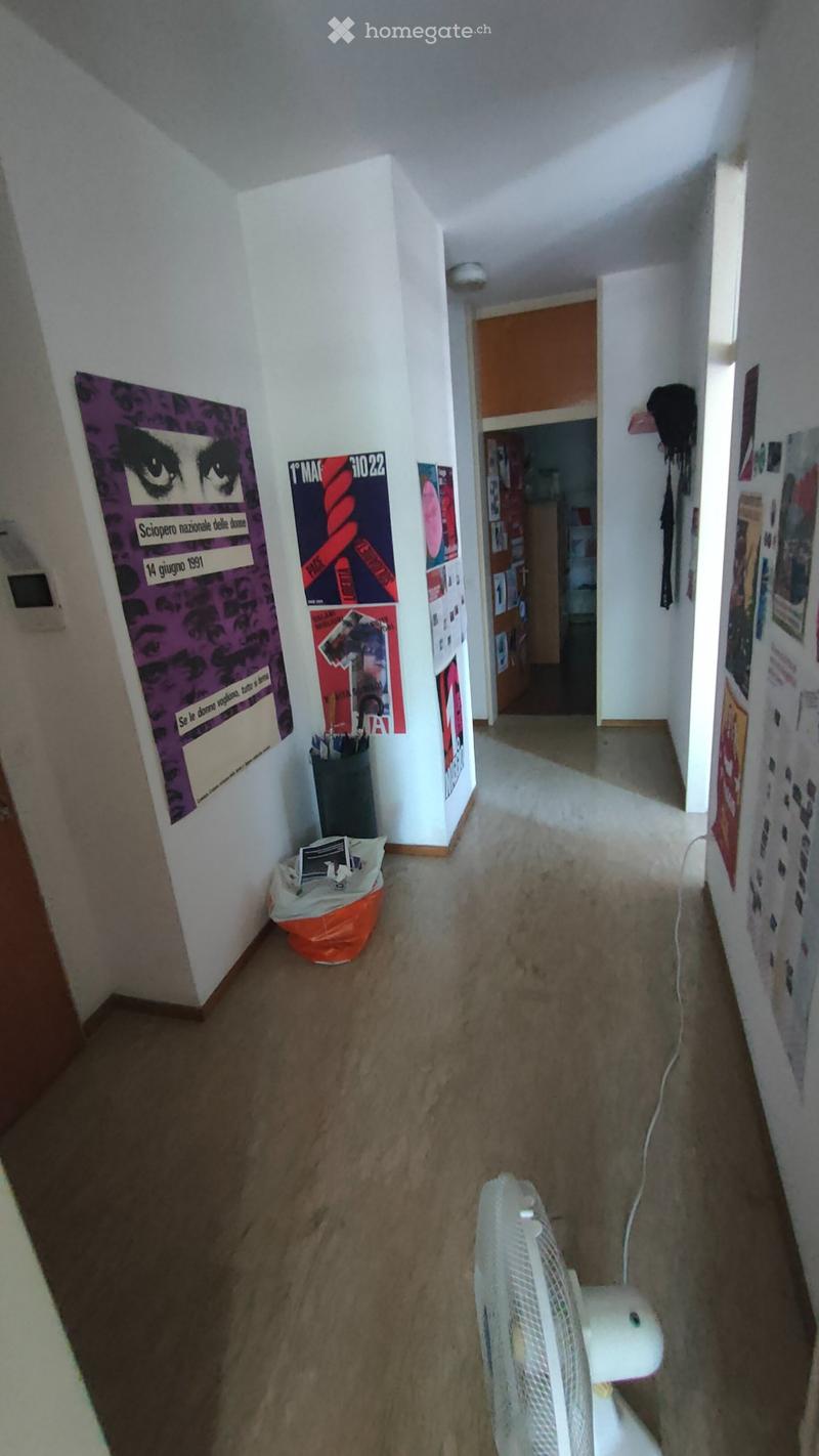 Cerco subentrante  Ampio 3.5 locali a Lugano-Besso (8)