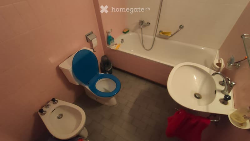 Cerco subentrante  Ampio 3.5 locali a Lugano-Besso (7)