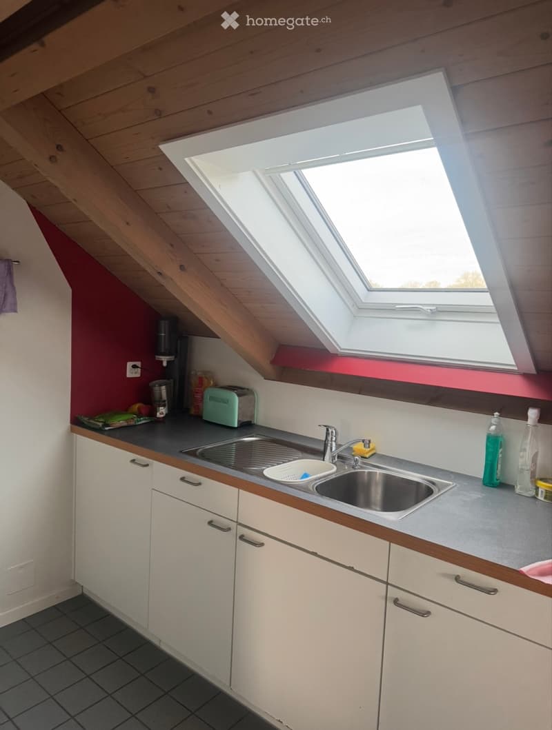 Wohnung 2.5 Zimmer (3)