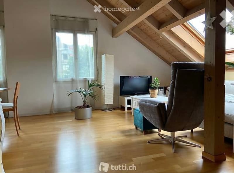 Wohnung 2.5 Zimmer (1)