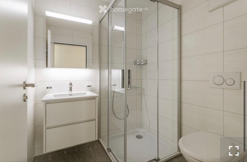 4.5 Zimmer Wohnung ab 01.07.2026 zu vermieten (3)
