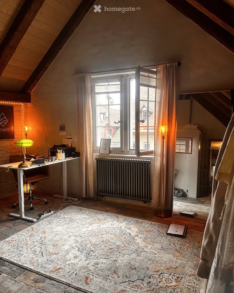 Duplex-/Maisonette-Wohnung in Bern (3)