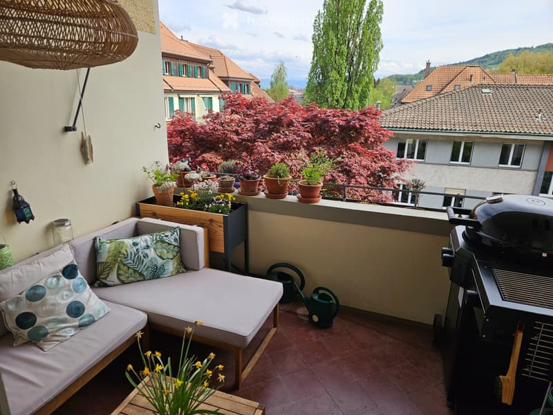 3.5 Zimmer Wohnung zur Untermiete von Juli bis September 26 (1)