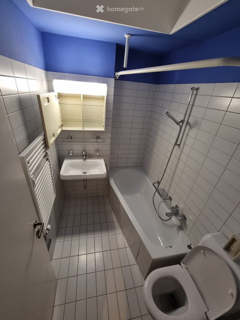 Attraktive 2.5-Zimmer-Wohnung in Zwingen BL (4)