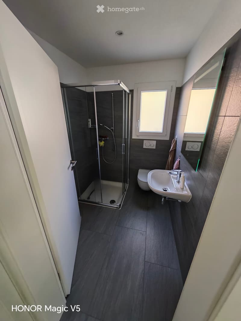 Affittasi appartamento 2,5 locali a Moghegno (Maggia) (4)