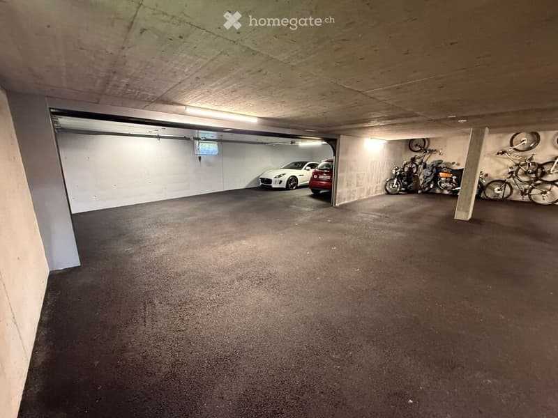 Appartamento spazioso con box privato (5)