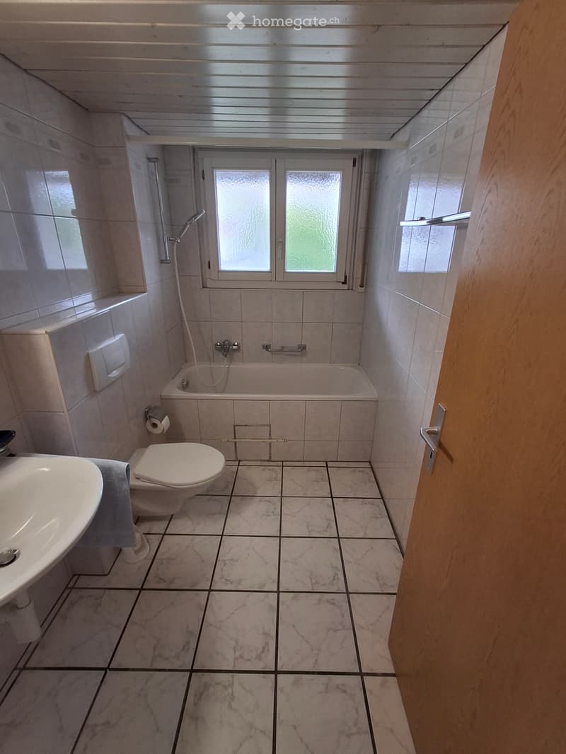 2.5 Zimmer Wohnung in sehr zentraler Lage (5)