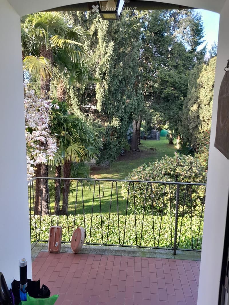 Ascona appartamento spazioso e luminoso in zona tranquilla (1)