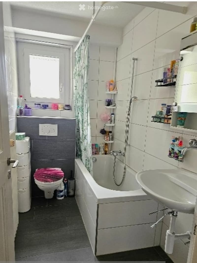 4.5 Zimmer-Wohnung nach Vereinbarung (3)