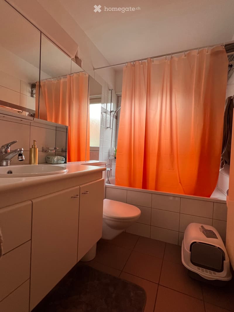 4-Zimmer-Wohnung per 1. August in Wettingen (2)