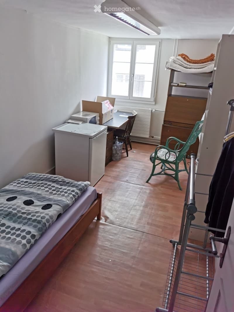 Gemütliches 1-Zimmer-Apartment in Wallisellen (2)