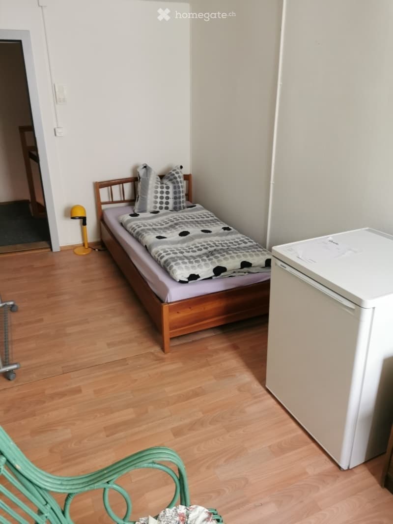 Gemütliches 1-Zimmer-Apartment in Wallisellen (3)