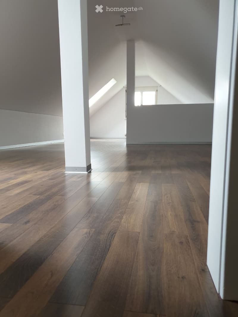 Nachmieter für 5.5 Zimmer Wohnung (3)