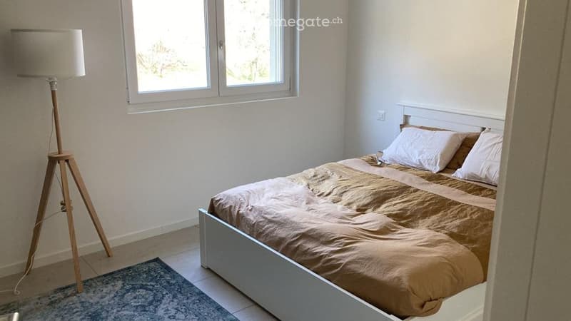 Affittasi moderno appartamento di 3.5 locali a PambioNoranco (3)