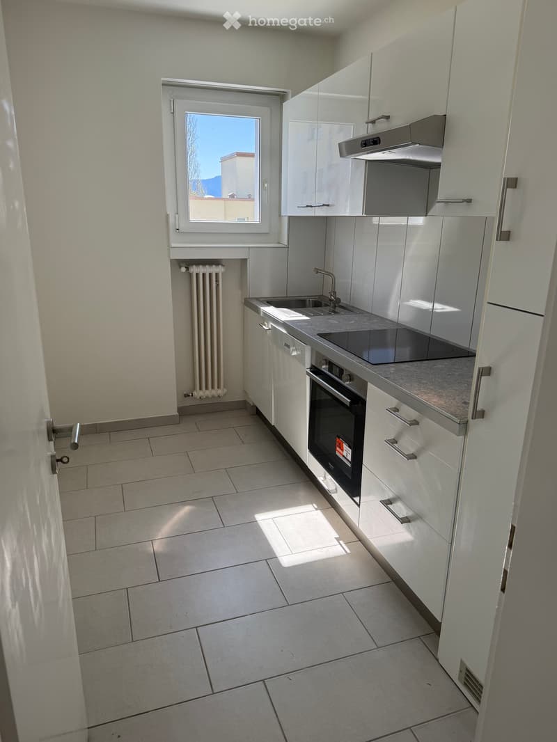 Appartamento 4,5 ristrutturato (3)