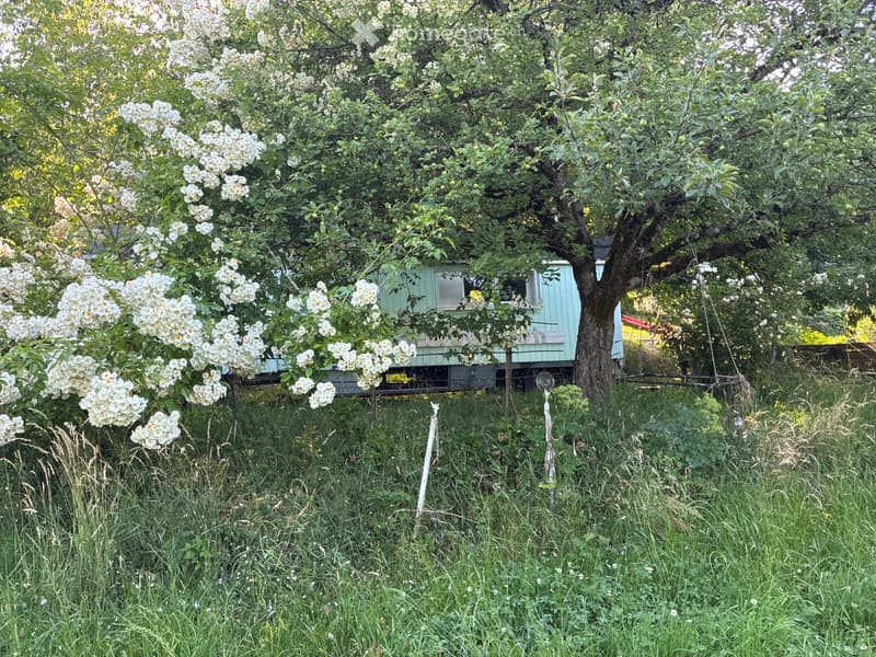 Zirkuswagen im Grünen (5)