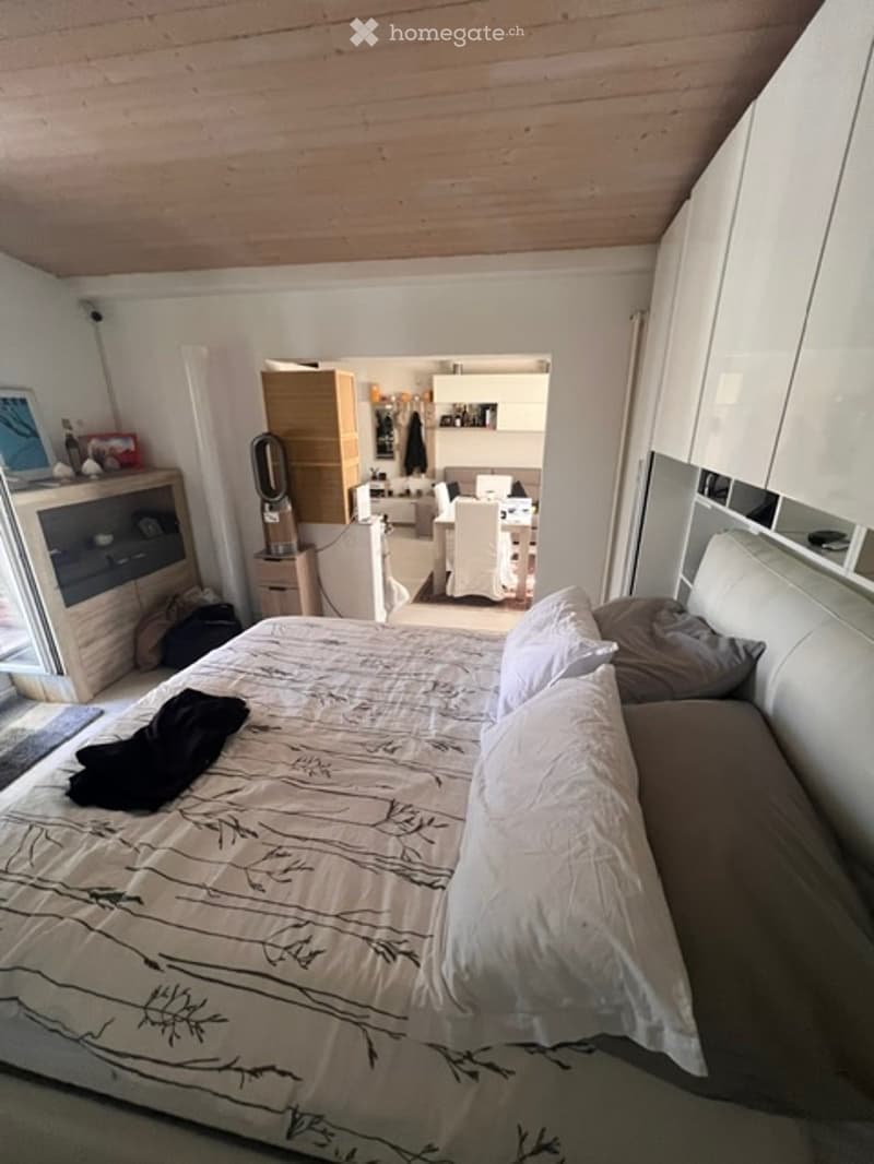 ATTICO CON TERRAZZA DA SOGNO NEL CUORE DI CHIASSO (4)