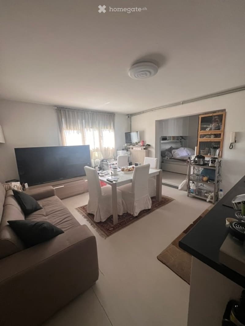 ATTICO CON TERRAZZA DA SOGNO NEL CUORE DI CHIASSO (3)