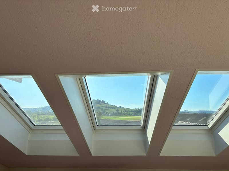 Dachwohnung (5)