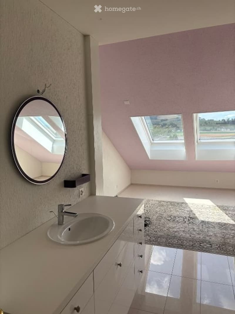 Loft - Dachwohnung (5)