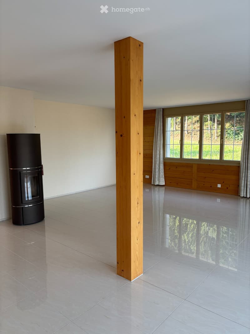 Loft - Dachwohnung (1)