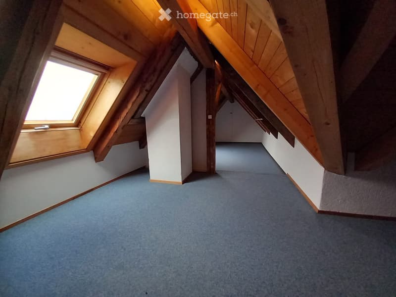 2 Zimmer Wohnung im Grünen Adlerhorst Forst - Längenbühl (4)