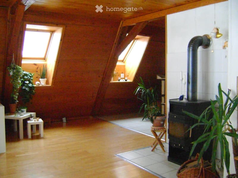 Bauernhofstöckli Dachwohnung (2)