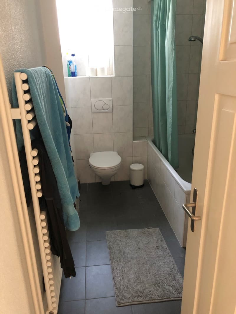 4 Zimmer Wohnung (2)