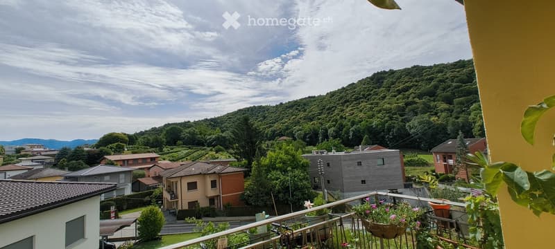 Affittasi appartamento 3.5 Pedrinate (2)