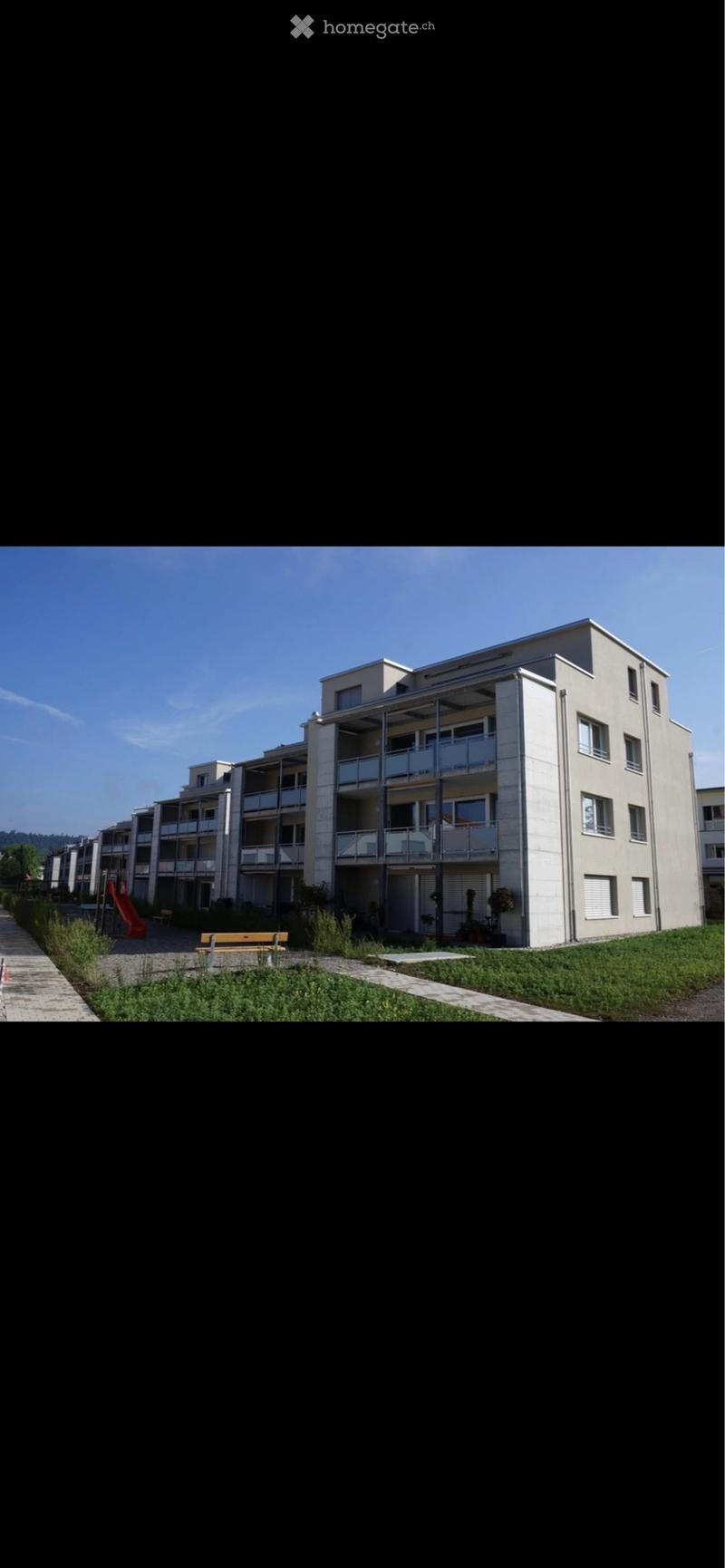 ** NACHMIETER GESUCHT 1. AUGUST** (4)