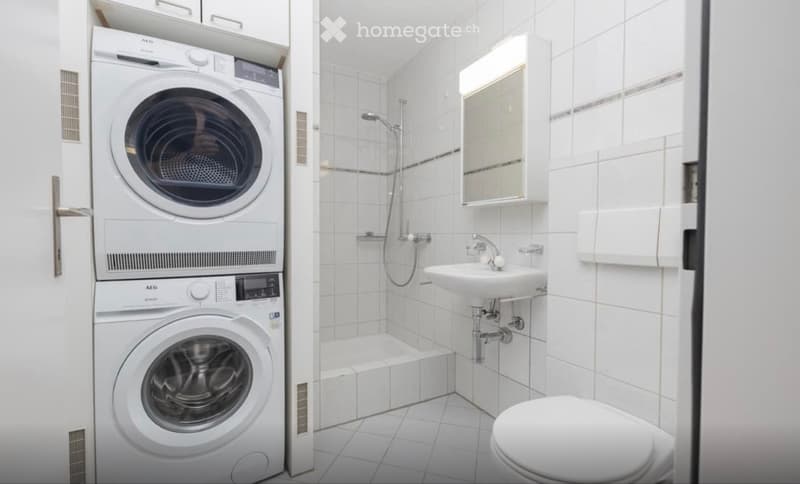 5.5 Attika Wohnung (5)