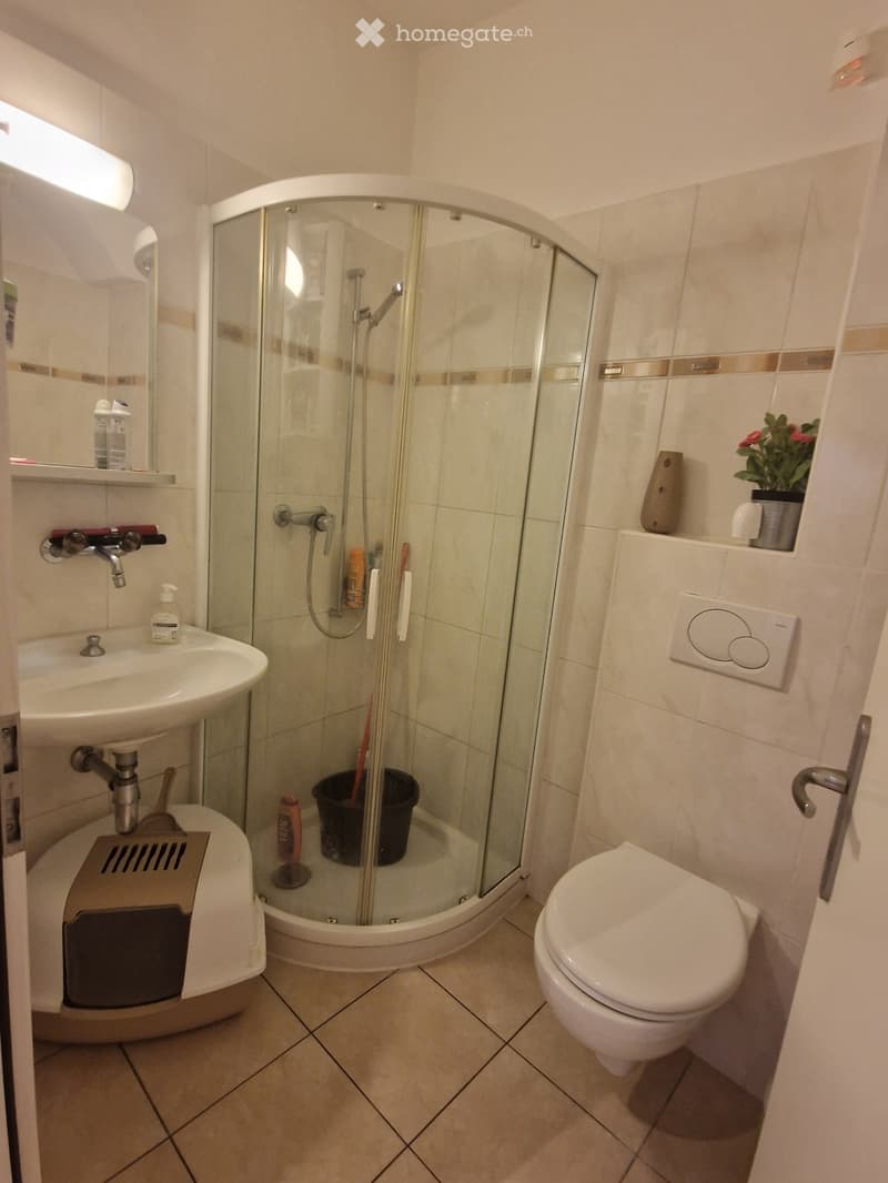 Appartamento 2 locali a Capolago (5)