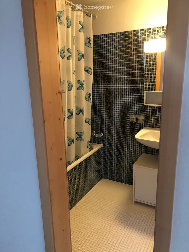 Schöne 5.1/2 zimmer Haushälfte (3)