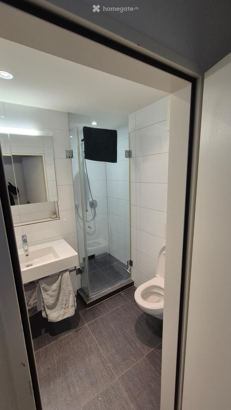 Subentrante per appartamento 1.5 locali a Dübendorf (Zurigo) (3)