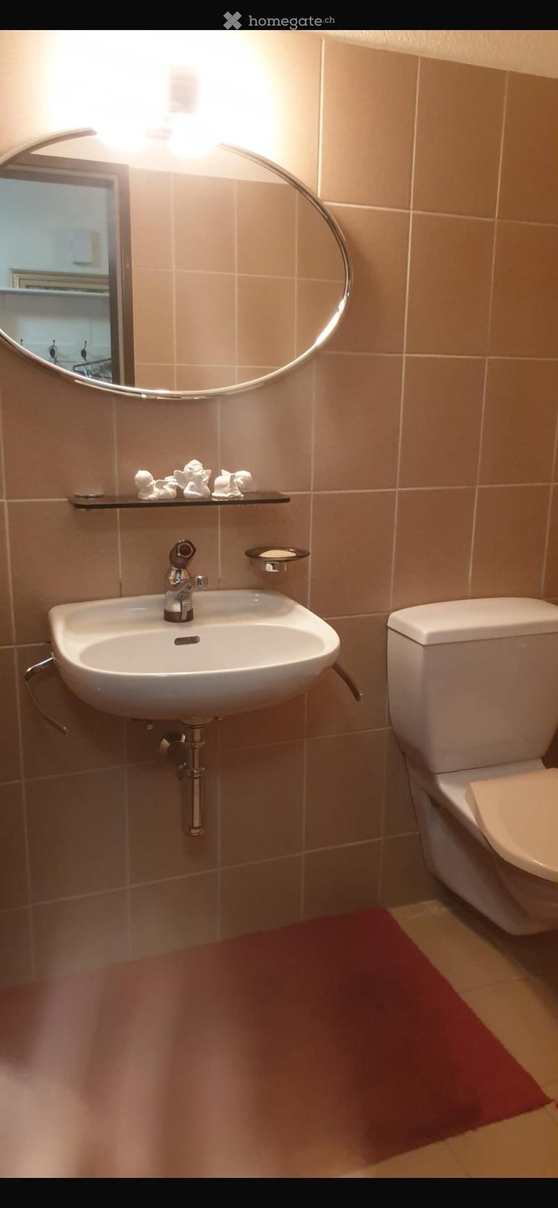 Möblierte 3.5-Zimmer-Wohnung in Widen (AG) (5)