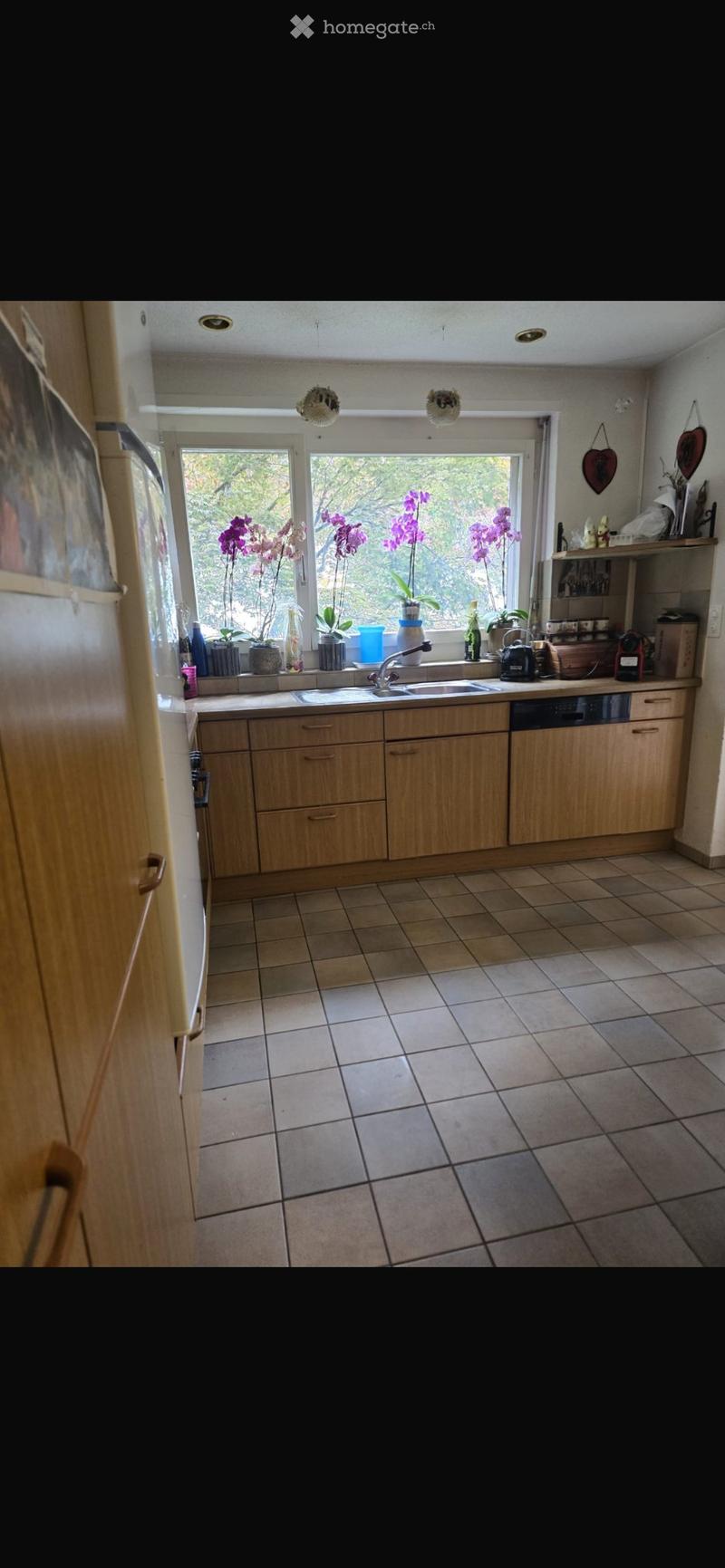 Möblierte 3.5-Zimmer-Wohnung in Widen (AG) (2)