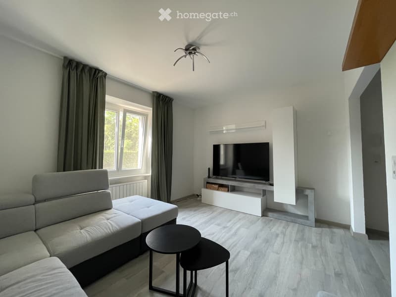 Affittasi appartamento 2.5 locali a Serocca d'Agno (2)