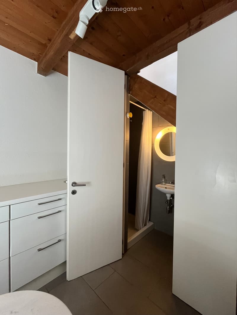 micro appartamento a Salorino ( Mendrisio) (3)