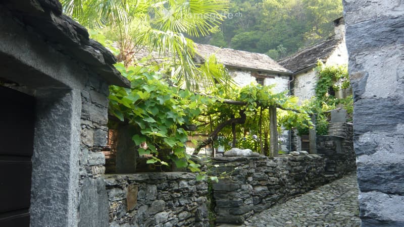 rustico per vacanze (1)