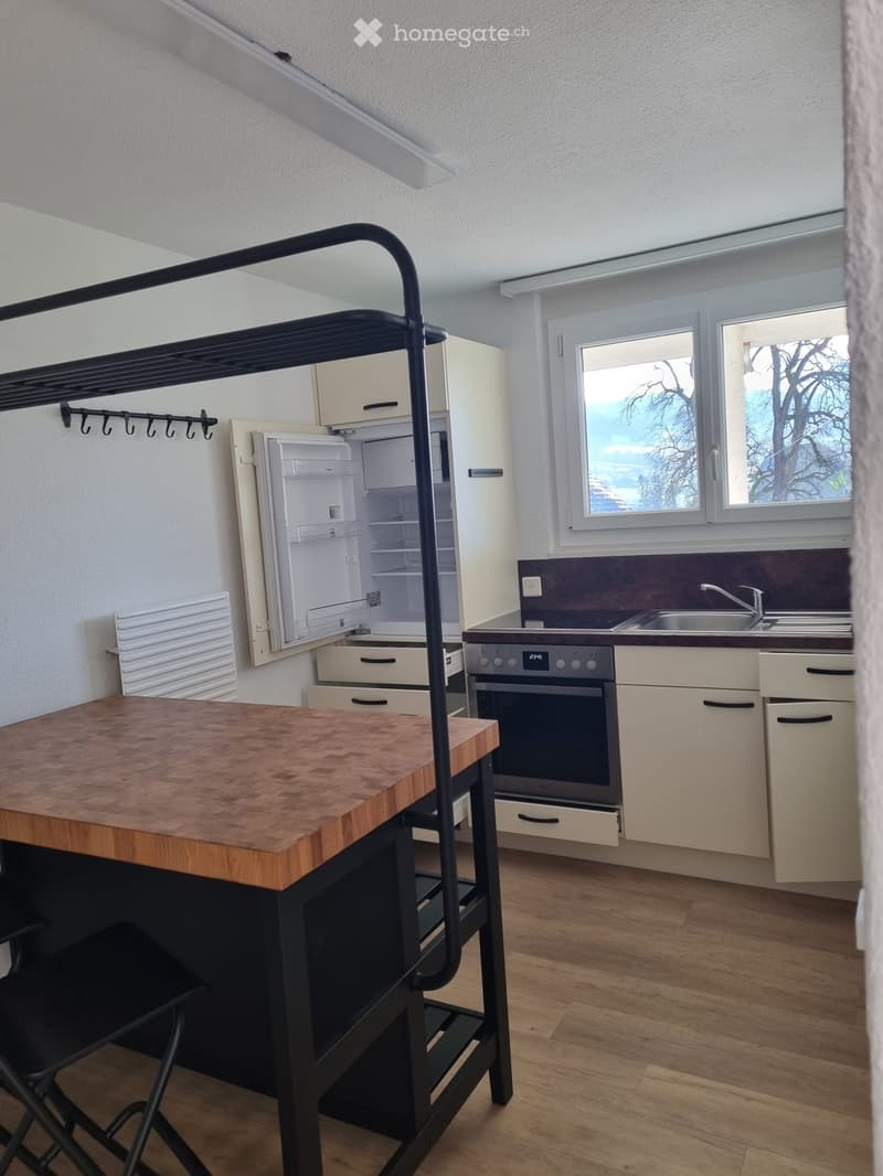 Schöne 2.5 Zimmer Wohnung (5)